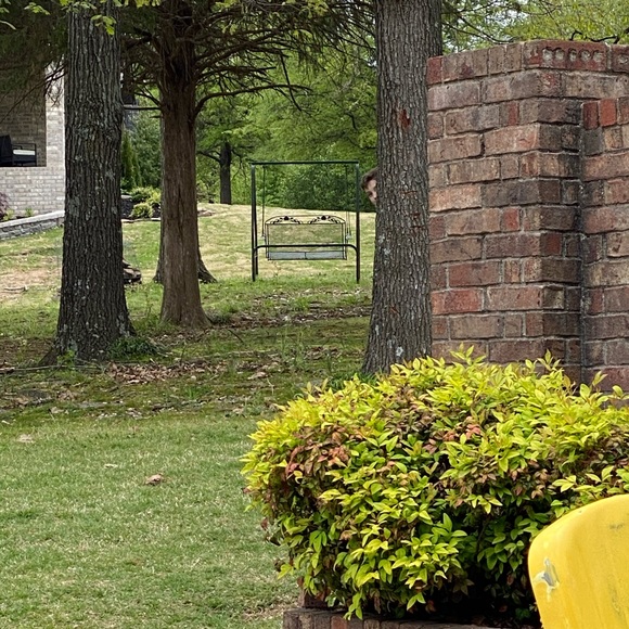 Meet your Posher, Joseph - Picture 1 of 1